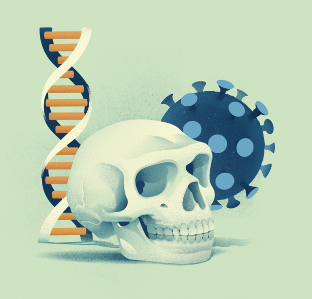 ネアンデルタール人から受け継いだ遺伝的変異がCOVID-19の重症化リスクを約20％減少させていた