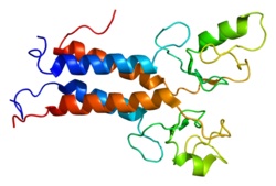 Deep Mutational Scanningで疾患遺伝子変異体の機能解析が更に発展