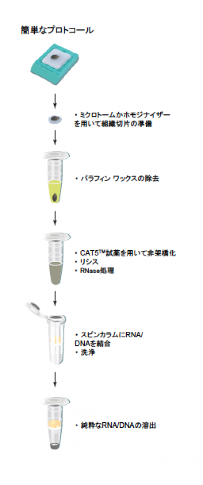 celldata65