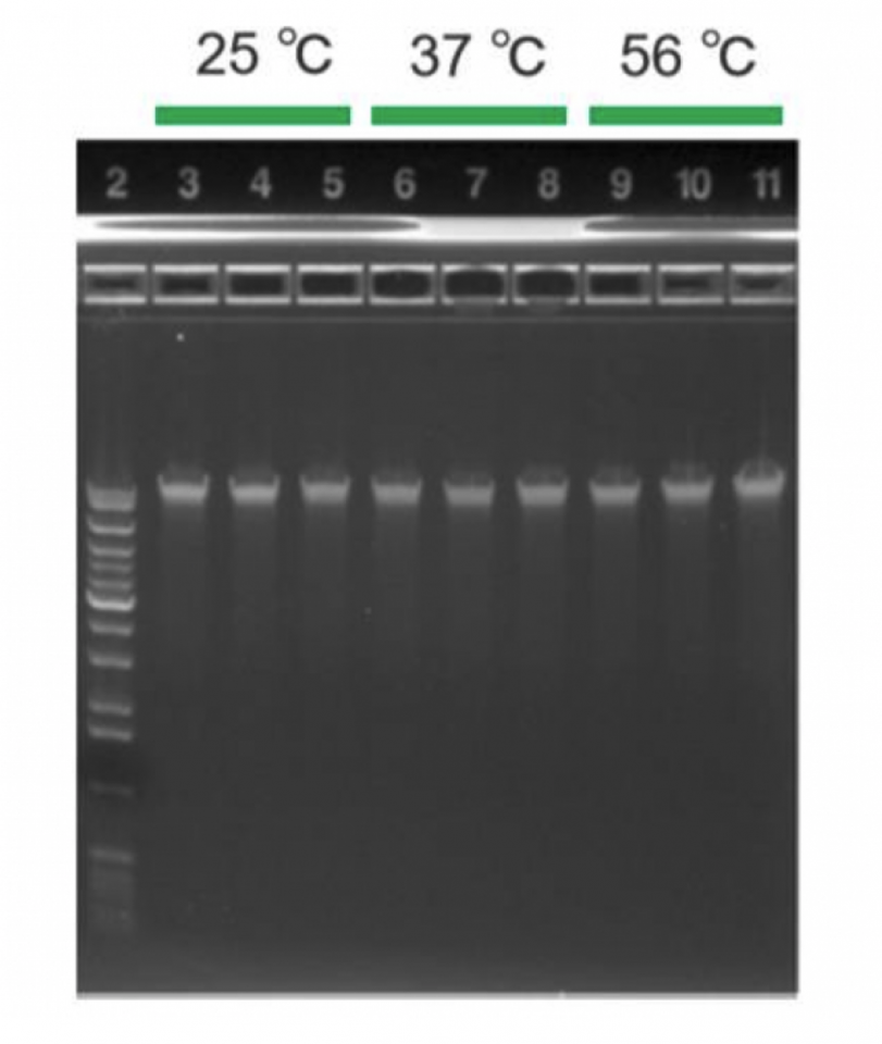 gentegra2