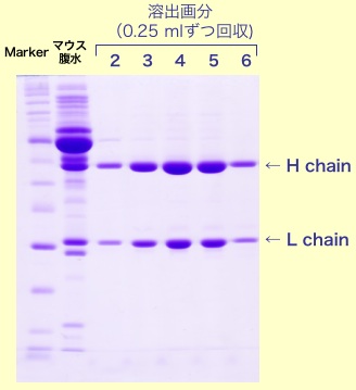 uid000001_20100404004828062d78a1 uid000001_20100404004828062d78a1