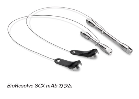 BioResolve SCX mAbカラム：抗体チャージバリアントのイオン交換分析
