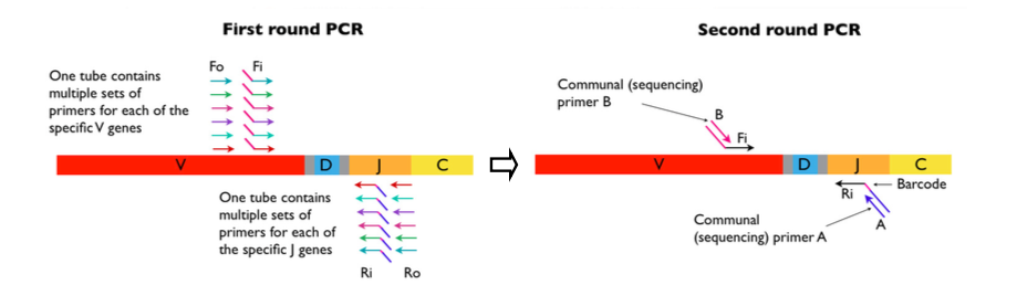 ir_arm-pcr