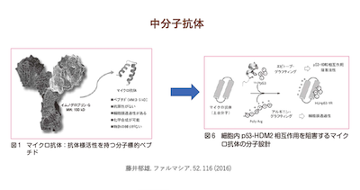 中分子有機化合物の創薬への新たな利用法
