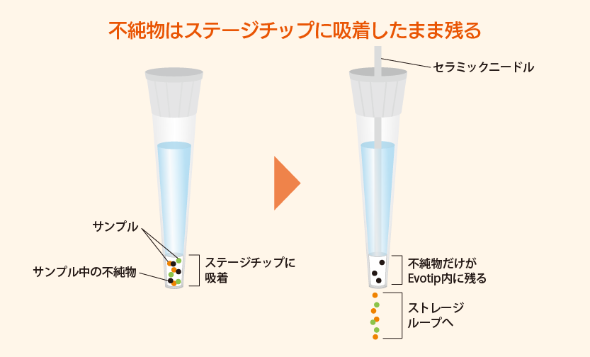 evosep_web_f01
