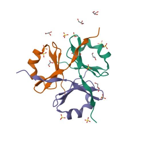 乳がん研究における重大な発見：コラーゲンXVIIIの機能を抑制することで乳がん細胞を弱体化