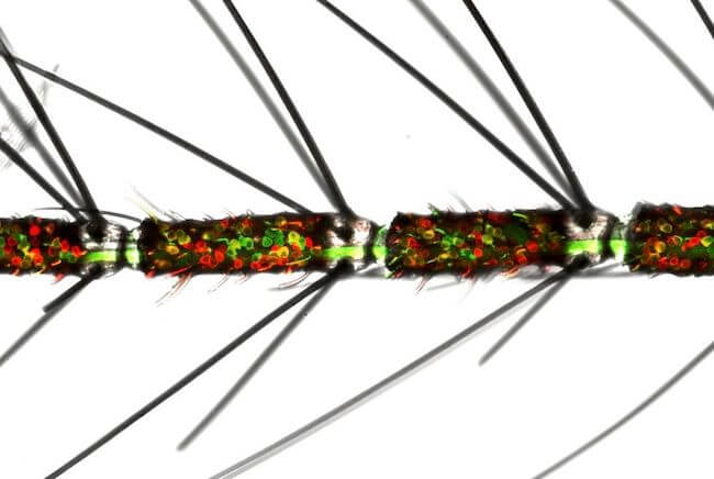 蚊が人間の匂いを嗅ぐ仕組みの謎に迫る：蚊の嗅覚神経が複数の化学物質受容体を発現していることを示す、従来の常識を覆す新発見