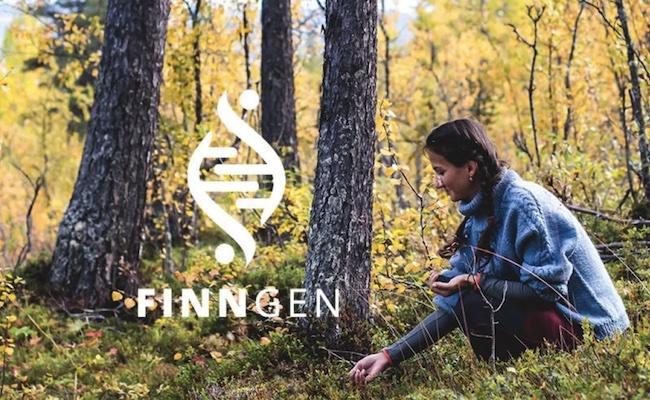 遺伝的隔離の威力：FinnGenの研究により数百の新しい遺伝子が発見された。