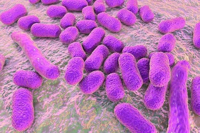 抗生物質耐性感染症に朗報！AIアルゴリズムで新薬発見、MITとマクマスター大学の共同研究