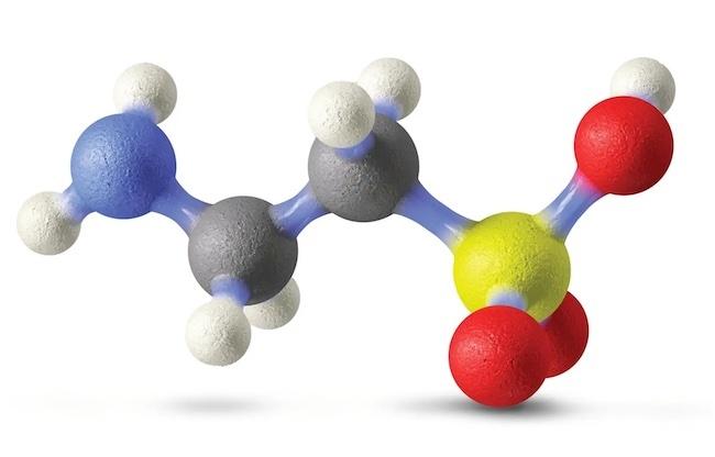 健康寿命を延ばす鍵はタウリン？コロンビア大学の革新的な発見
