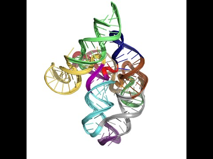 RNAの3D折り畳み過程を単一分子レベルで可視化—IPET技術が明かすRNAの動態