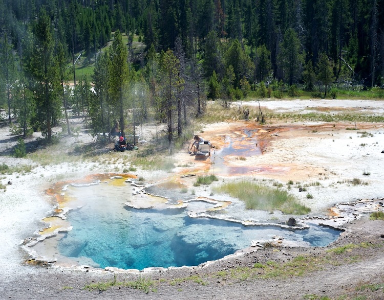 イエローストーン温泉の微生物が解き明かす生命進化の謎：酸素への適応