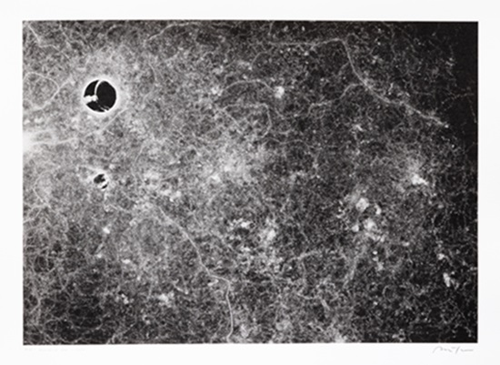 アリの行動がアートに！科学と芸術の融合が生み出す驚きの視覚世界
