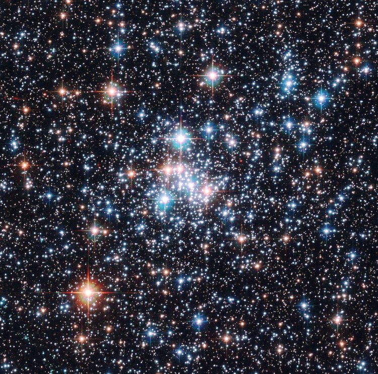 昆虫が星を見て旅をする！ボゴングガが解き明かす驚異のナビゲーション能力