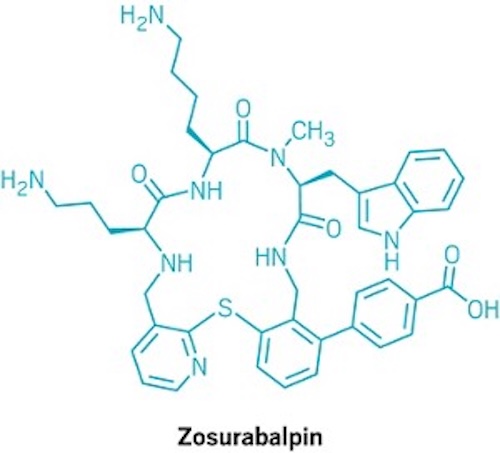 ビール酵母が「創薬工場」に！大環状ペプチドの新薬開発を加速する新技術