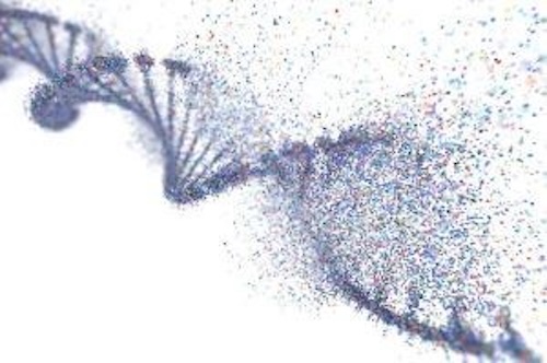 私たちの祖先はいつから感染症に苦しんでいた？6,500年前のDNAから探る病気の歴史