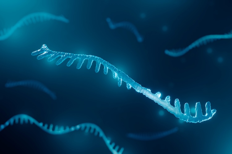 生命の起源の謎に迫る一大発見：RNAとアミノ酸が「自発的に」結合する化学反応を実証