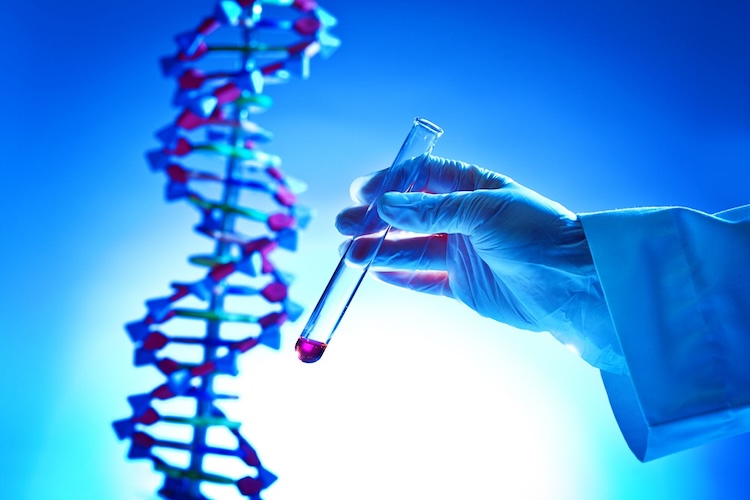 失われた光を取り戻す！遺伝子治療が先天性重度視覚障害の子供たちに奇跡をもたらす