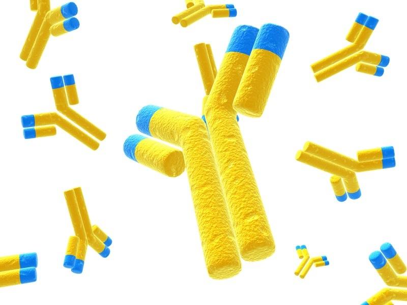 抗体分泌の鍵を解明：UCLAとシアトル小児研究所の最新研究でIgGの大量生産に関連する遺伝子を特定